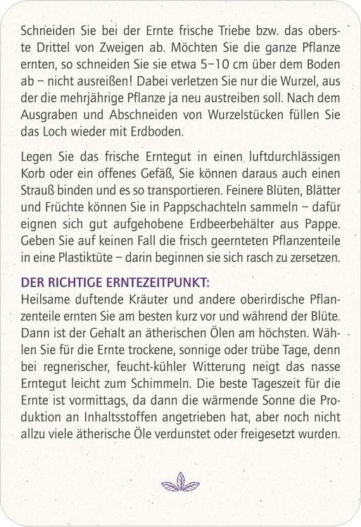 Produktbild: Blatt & Bl&uuml;te Heilsame Pflanzen
