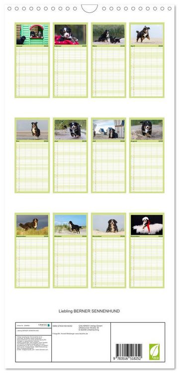 Produktbild: Familienplaner 2026 - Liebling BERNER SENNENHUND mit 5 Spalten (Wandkalender, 21 x 45 cm) CALVENDO