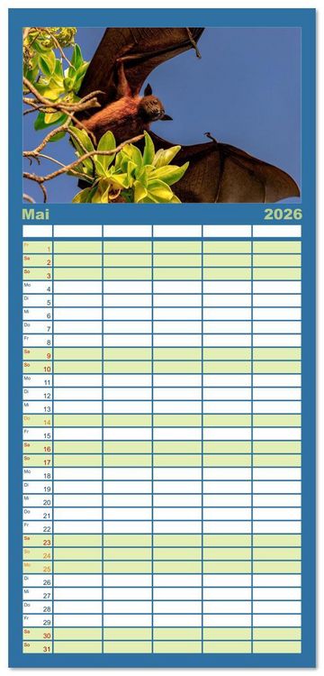 Produktbild: Familienplaner 2026 - Malerische Malediven mit 5 Spalten (Wandkalender, 21 x 45 cm) CALVENDO