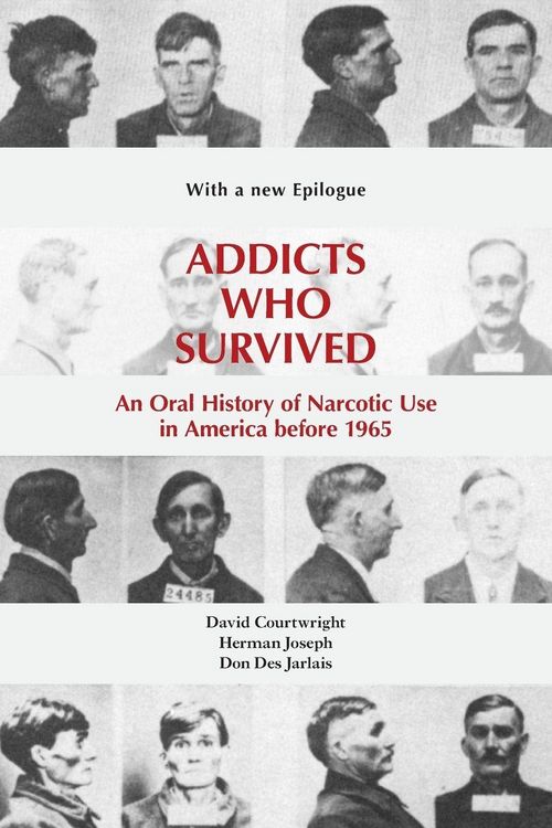 Produktbild: Addicts Who Survived