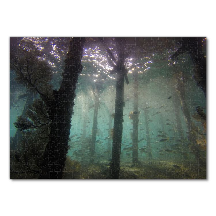 Produktbild: Lais Puzzle Unterwasser Anlegestelle 500 Teile