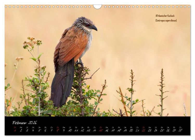 Produktbild: Faszination Afrika - wilde Tiere der Masai Mara - Kenia (Wandkalender 2026 DIN A3 quer), CALVENDO Monatskalender