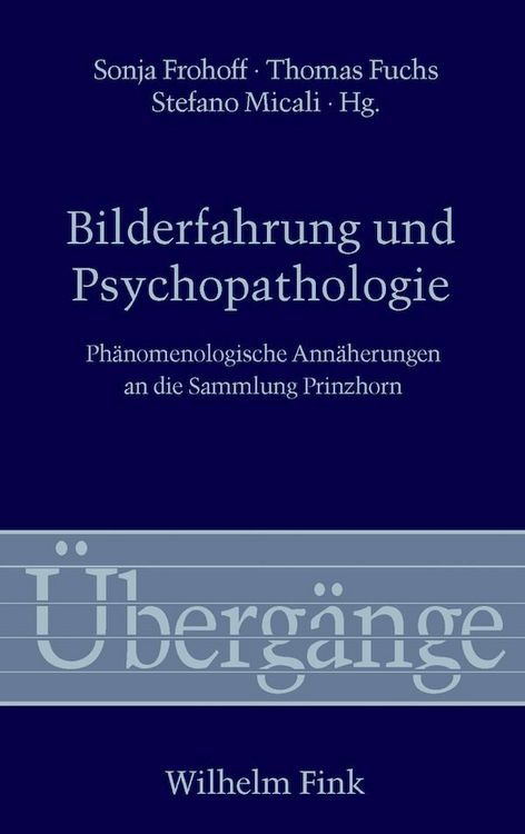 Produktbild: Bilderfahrung und Psychopathologie