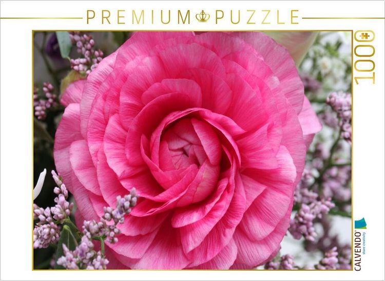 Produktbild: CALVENDO Puzzle Perfekte Ranunkelbl&uuml;te | 1000 Teile Lege-Gr&ouml;&szlig;e 64x48cm Foto-Puzzle f&uuml;r gl&uuml;ckliche Stunden