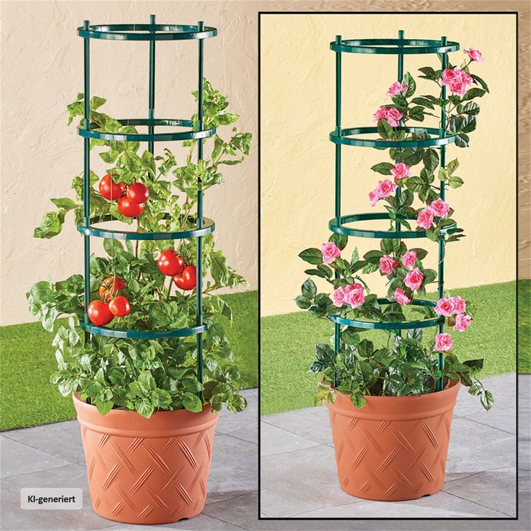 Produktbild: HTI-Living Pflanztopf Nessa Terracotta mit Rankhilfe Pflanztopf Nessa Terracotta mit Rankhilfe
