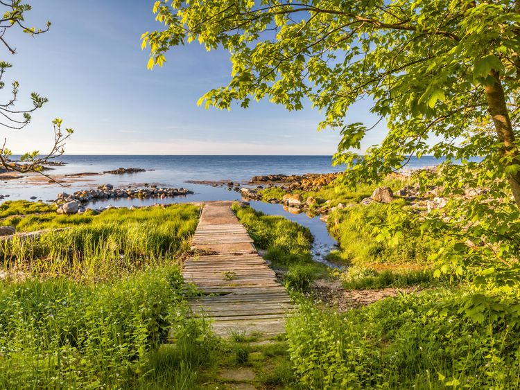 Produktbild: CALVENDO Puzzle Fr&uuml;hlingspracht auf der Insel Bornholm 1000 Teile Lege-Gr&ouml;&szlig;e 64 x 48 cm Foto-Puzzle Bild von Christian M&uuml;ringer