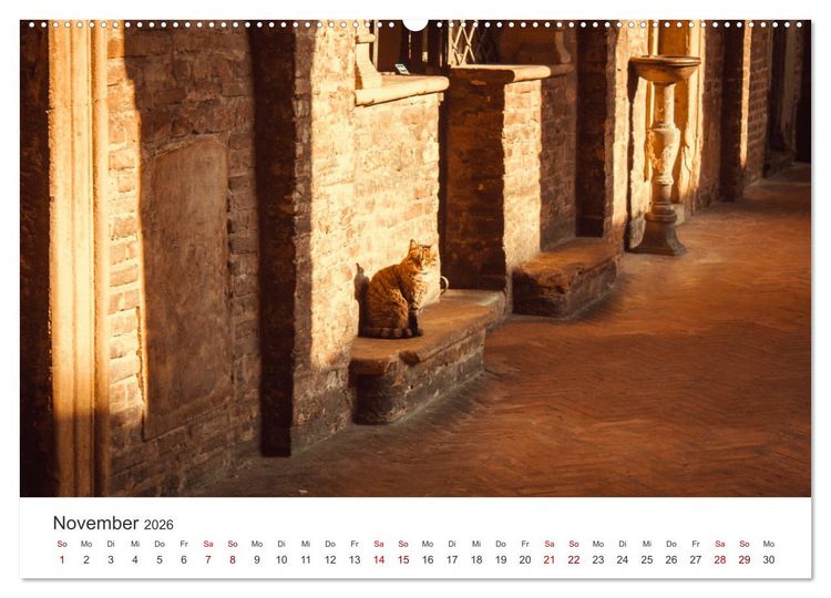 Produktbild: Bologna - Impressionen der wundersch&ouml;nen Universit&auml;tsstadt. (Wandkalender 2026 DIN A2 quer), CALVENDO Monatskalender