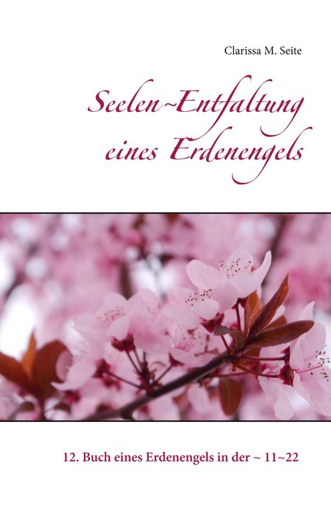 Produktbild: Seelen~Entfaltung eines Erdenengels