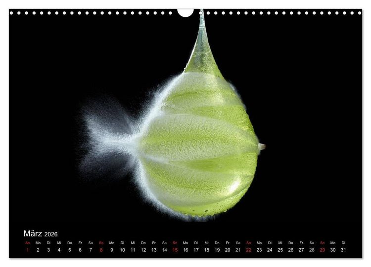 Produktbild: Ballistik Highspeed Fotos (Wandkalender 2026 DIN A3 quer), CALVENDO Monatskalender