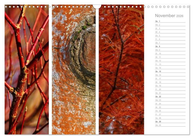 Produktbild: Nat&uuml;rlicher Dreiklang (Wandkalender 2026 DIN A3 quer), CALVENDO Monatskalender