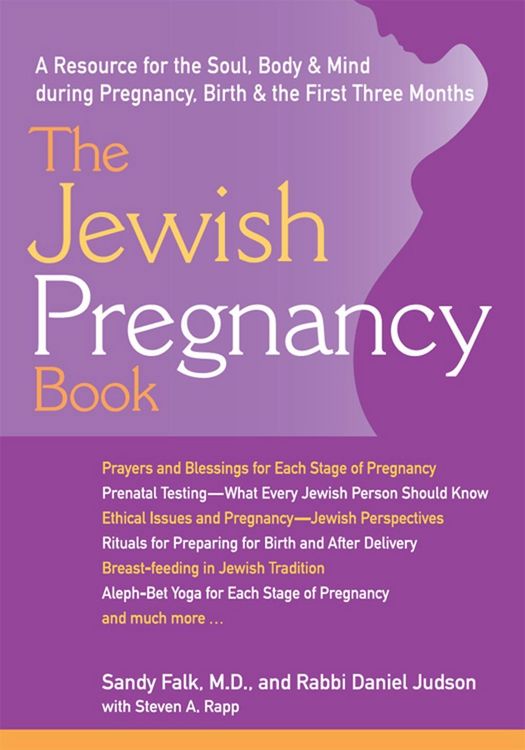 Produktbild: The Jewish Pregnancy Book