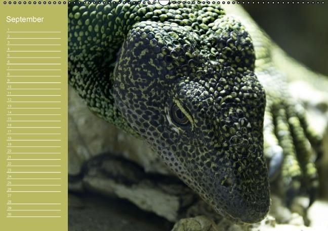 Produktbild: Drachen / Geburtstagskalender (Wandkalender immerw&auml;hrend DIN A2 quer)