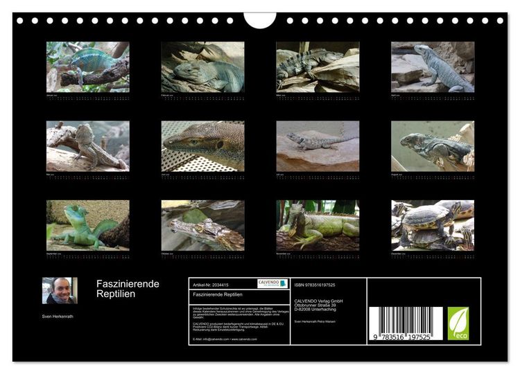 Produktbild: Faszinierende Reptilien (Wandkalender 2026 DIN A4 quer), CALVENDO Monatskalender