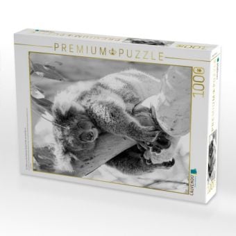 Produktbild: CALVENDO Puzzle Ein Motiv aus dem Kalender Koala Ein B&auml;r, der kein B&auml;r ist | 1000 Teile Lege-Gr&ouml;&szlig;e 64x48cm Foto-Puzzle f&uuml;r gl&uuml;ckliche Stunden