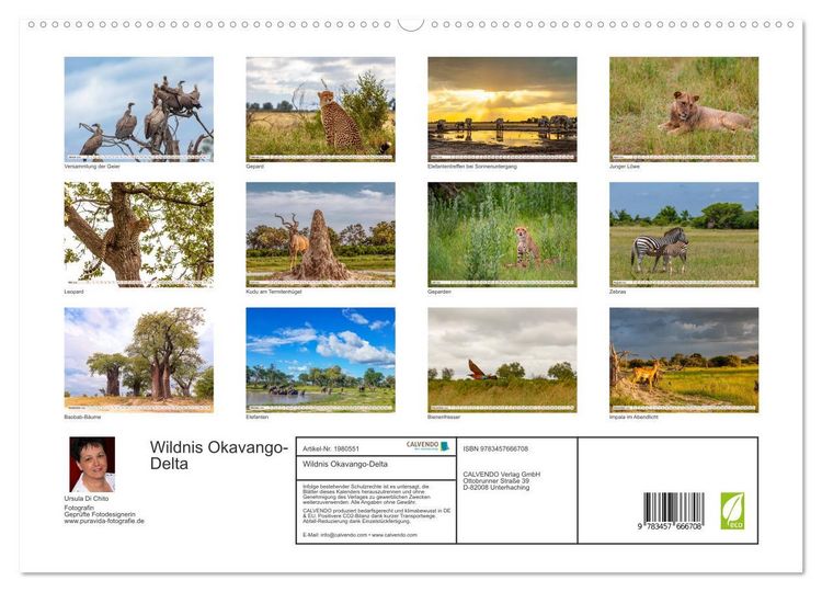 Produktbild: Wildnis Okavango-Delta (hochwertiger Premium Wandkalender 2026 DIN A2 quer), Kunstdruck in Hochglanz
