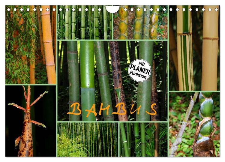 Produktbild: BAMBUS (Wandkalender 2026 DIN A4 quer), CALVENDO Monatskalender