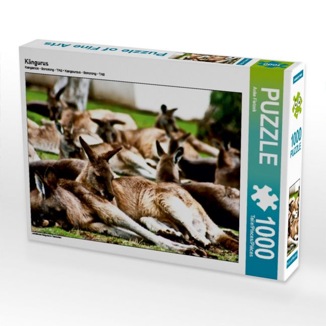 Produktbild: CALVENDO Puzzle K&auml;ngurus | 1000 Teile Lege-Gr&ouml;&szlig;e 64x48cm Foto-Puzzle f&uuml;r gl&uuml;ckliche Stunden