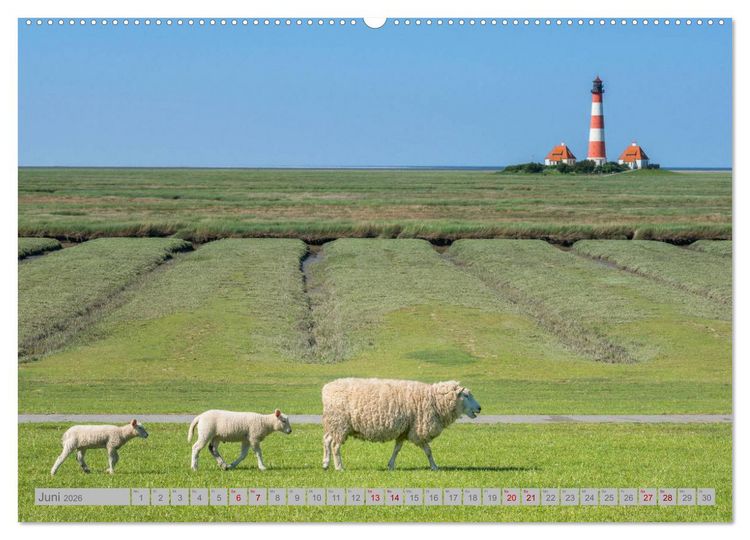 Produktbild: Leuchtt&uuml;rme - W&auml;chter der K&uuml;sten (Wandkalender 2026 DIN A2 quer), CALVENDO Monatskalender