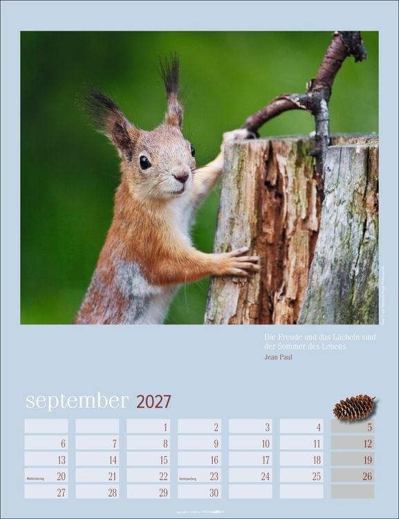 Produktbild: Eichh&ouml;rnchen Kalender 2027