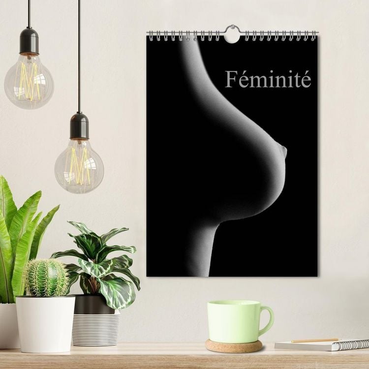 Produktbild: F&eacute;minit&eacute; (Calendrier mural 2027 DIN A4 horizontal), CALVENDO calendrier mensuel