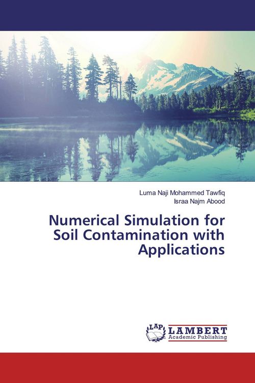 Produktbild: Numerical Simulation for Soil Contamination with Applications