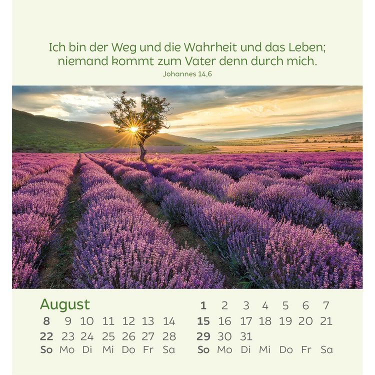 Produktbild: Kleine Blumengr&uuml;&szlig;e 2027