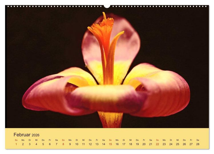 Produktbild: Fantastische Reise in die Welt der Blumen (Wandkalender 2026 DIN A2 quer), CALVENDO Monatskalender