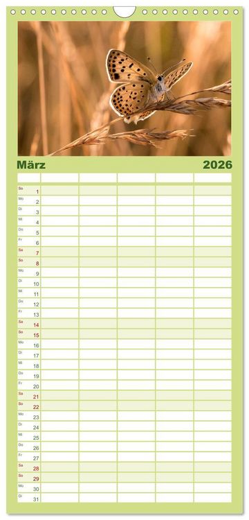 Produktbild: Familienplaner 2026 - Schmetterlinge. Schimmernde Zauberwesen mit 5 Spalten (Wandkalender, 21 x 45 cm) CALVENDO