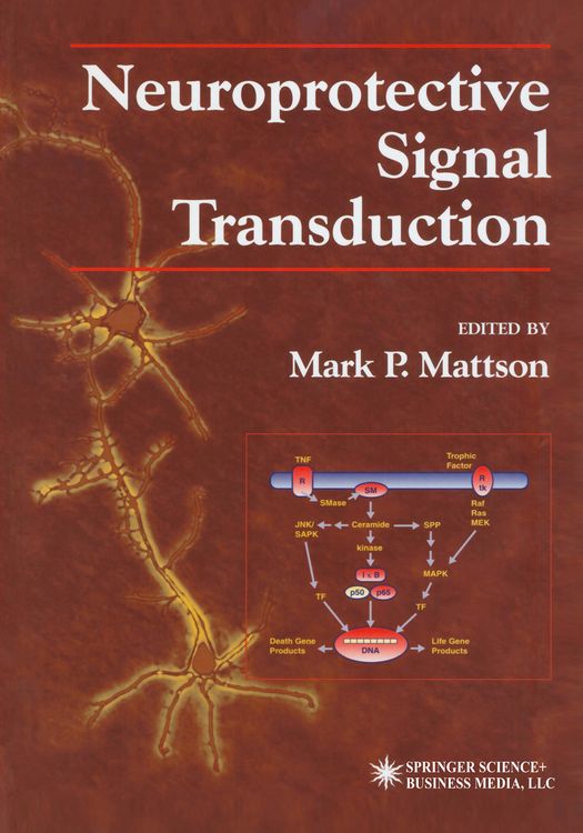 Produktbild: Neuroprotective Signal Transduction