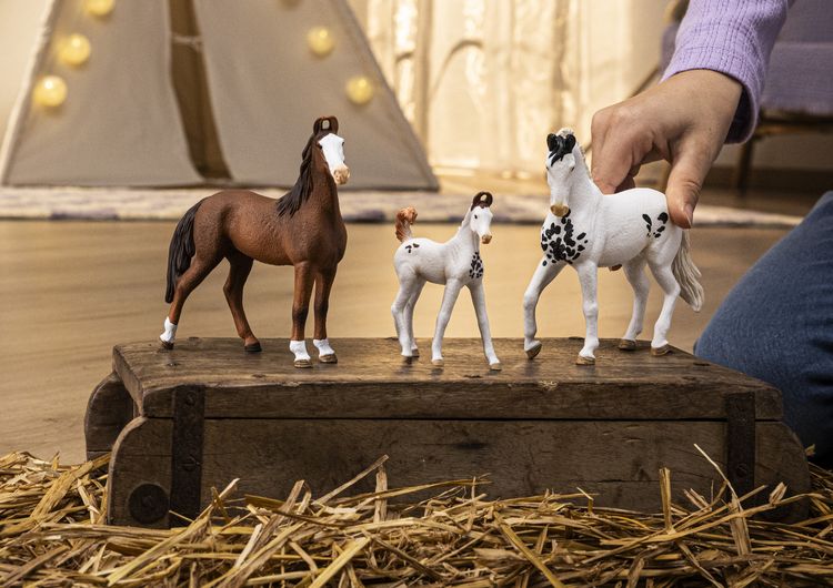 Produktbild: schleich&reg; Horse Club Marwari Hengst