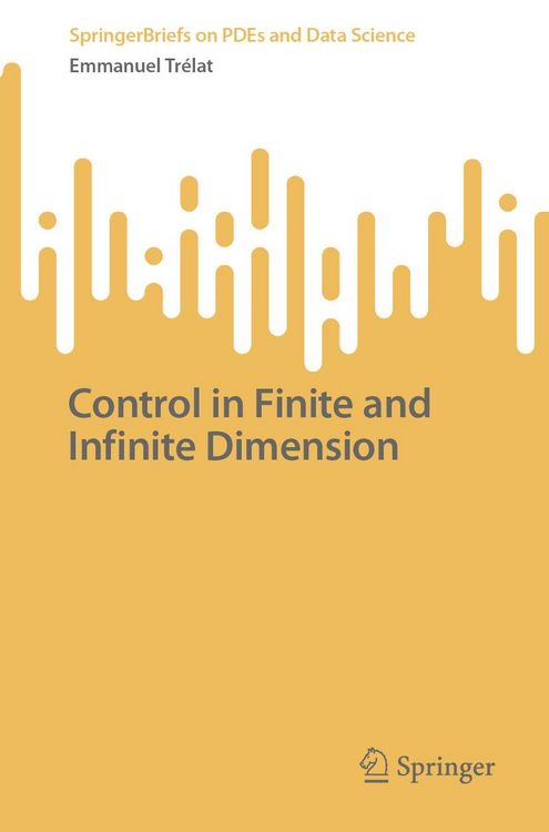 Produktbild: Control in Finite and Infinite Dimension