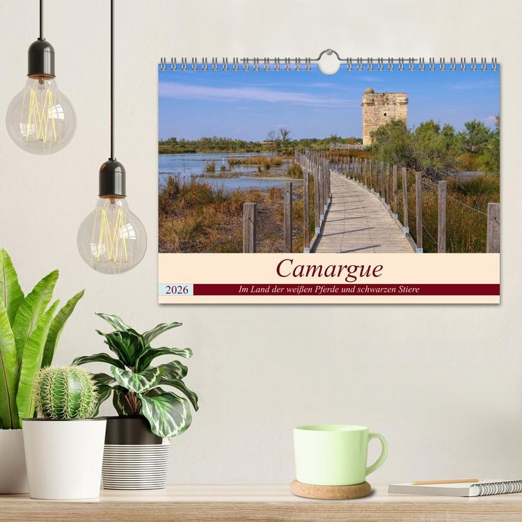 Produktbild: Camargue - Im Land der wei&szlig;en Pferde und schwarzen Stiere (Wandkalender 2026 DIN A4 quer), CALVENDO Monatskalender