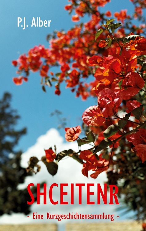 Produktbild: Shceitenr