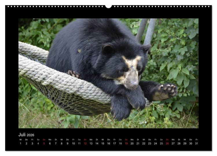 Produktbild: Bitte nicht st&ouml;ren... hier tr&auml;umen Tiere (Wandkalender 2026 DIN A2 quer), CALVENDO Monatskalender