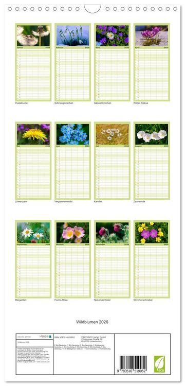 Produktbild: Familienplaner 2026 - Wildblumen 2026 mit 5 Spalten (Wandkalender, 21 x 45 cm) CALVENDO