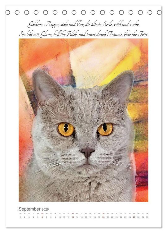 Produktbild: Katzenlyrik - Zw&ouml;lf Seelen auf Samtpfoten in Wort und Bild (Tischkalender 2026 DIN A5 hoch), CALVENDO Monatskalender
