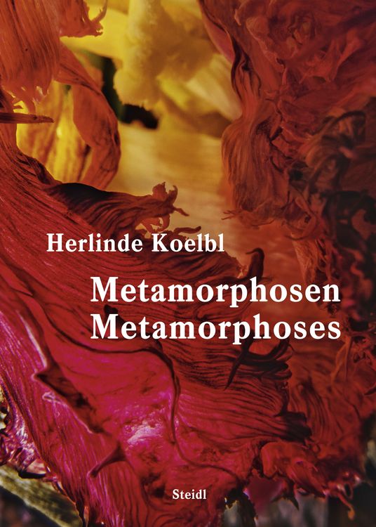 Produktbild: Metamorphosen / Metamorphoses