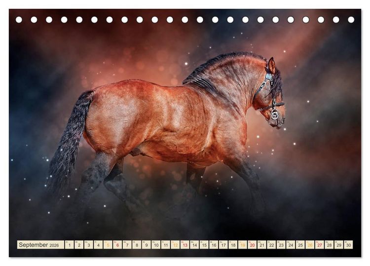 Produktbild: Eleganz und Sch&ouml;nheit - Pferde (Tischkalender 2026 DIN A5 quer), CALVENDO Monatskalender