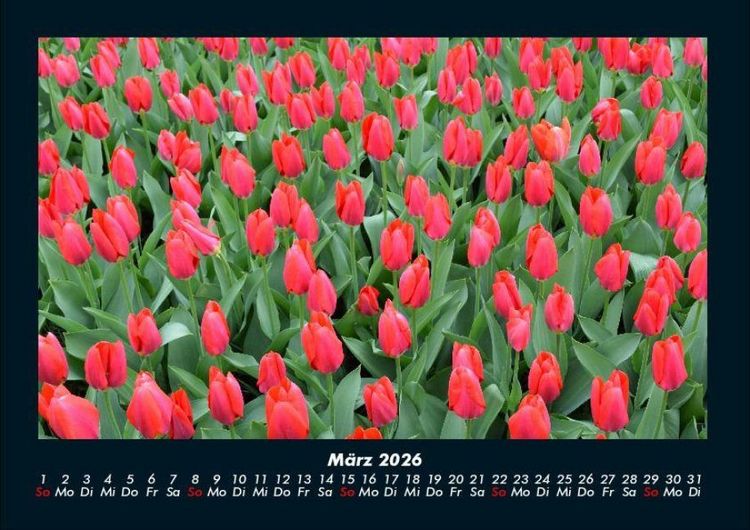 Produktbild: Blumenzauber 2026 Fotokalender DIN A4