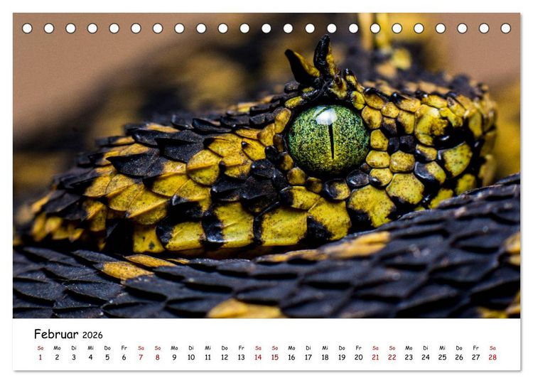 Produktbild: Mythos Schlangen (Tischkalender 2026 DIN A5 quer), CALVENDO Monatskalender