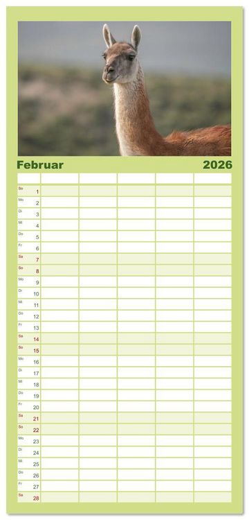 Produktbild: Familienplaner 2026 - Wildlife S&uuml;damerika mit 5 Spalten (Wandkalender, 21 x 45 cm) CALVENDO