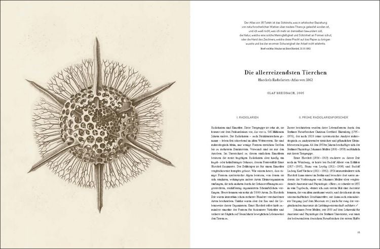 Produktbild: Ernst Haeckel