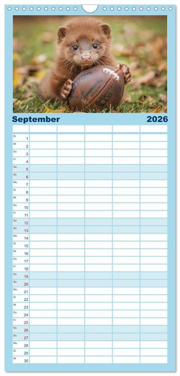 Produktbild: Familienplaner 2026 - Kleine freche Nerze mit 5 Spalten (Wandkalender, 21 x 45 cm) CALVENDO