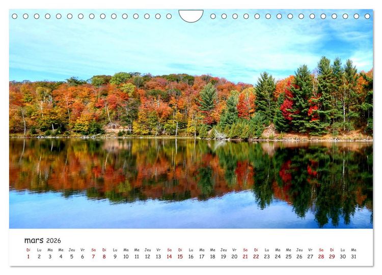 Produktbild: Automne haut en couleurs (Calendrier mural 2026 DIN A4 vertical), CALVENDO calendrier mensuel