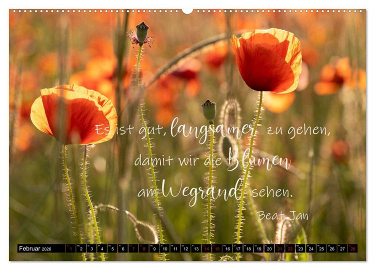 Produktbild: Bilder und Texte f&uuml;r die Seele (hochwertiger Premium Wandkalender 2026 DIN A2 quer), Kunstdruck in Hochglanz