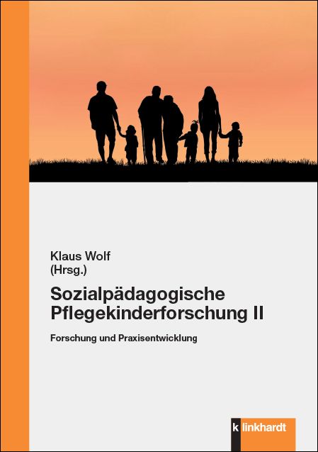 Produktbild: Sozialp&auml;dagogische Pflegekinderforschung II