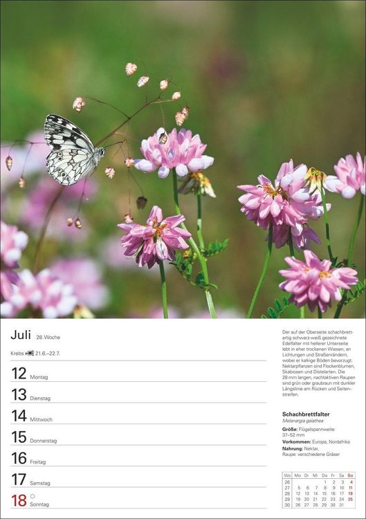 Produktbild: Heimische Tiere Wochenplaner 2027 - 53 faszinierende Fotografien