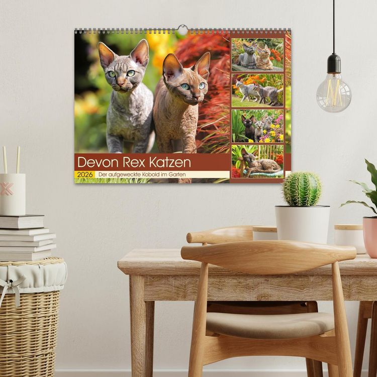 Produktbild: Devon Rex Katzen. Der aufgeweckte Kobold im Garten (Wandkalender 2026 DIN A3 quer), CALVENDO Monatskalender