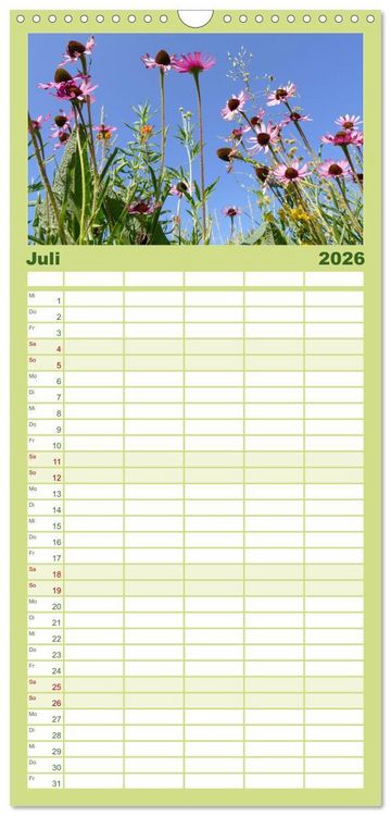 Produktbild: Familienplaner 2026 - Garten von unten. Ein Perspektivwechsel mit 5 Spalten (Wandkalender, 21 x 45 cm) CALVENDO