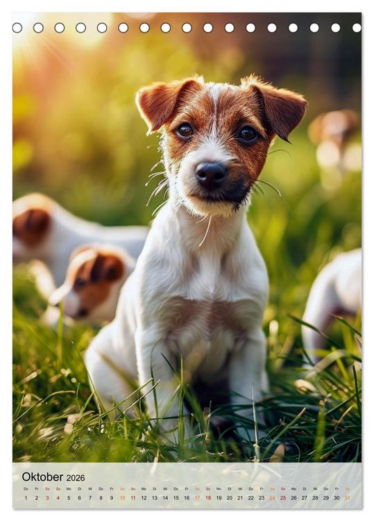 Produktbild: Jack Russel Terrier - furchtlos und viel Selbstvertrauen (Tischkalender 2026 DIN A5 hoch), CALVENDO Monatskalender